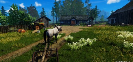 Farmer's Life EU PC Steam CD Key