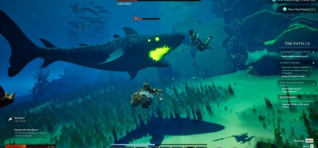 Voyagers of Nera EU PC Steam CD Key