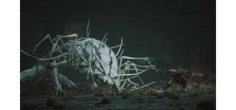 Black Myth: Wukong - Deluxe Edition Upgrade DLC JP PS5 CD Key