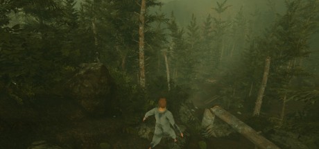 Baby Steps PC Steam CD Key