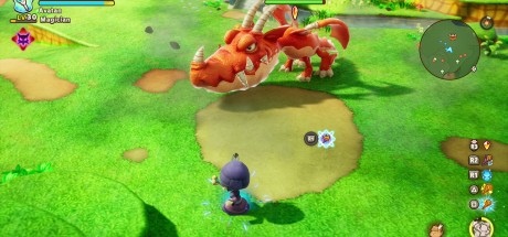 FANTASY LIFE i: The Girl Who Steals Time US Nintendo Switch CD Key