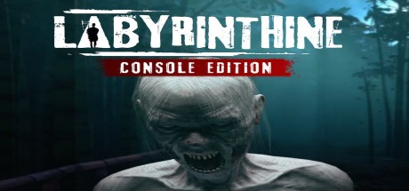Labyrinthine Console Edition EU PS5 CD Key