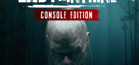 Labyrinthine Console Edition EU PS5 CD Key