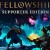 Fellowship (2025) Supporter Edition PC Steam CD Key