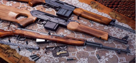 theHunter: Call of the Wild - Rapid Hunt Rifle Pack DLC PC Steam CD Key