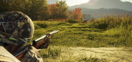 theHunter: Call of the Wild - Rapid Hunt Rifle Pack DLC PC Steam CD Key