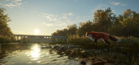 theHunter: Call of the Wild - Salzwiesen Park DLC PC Steam CD Key