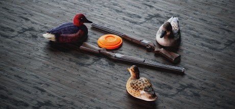 theHunter: Call of the Wild - Salzwiesen Park DLC PC Steam CD Key