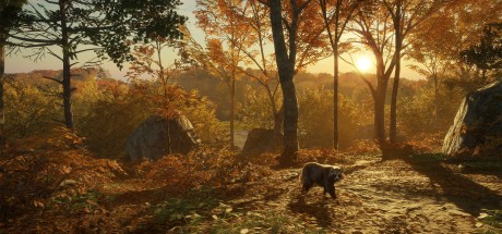 theHunter: Call of the Wild - Salzwiesen Park DLC PC Steam CD Key