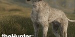 theHunter: Call of the Wild - German Shorthaired Pointer DLC PC Steam CD Key