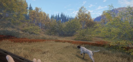 theHunter: Call of the Wild - German Shorthaired Pointer DLC PC Steam CD Key