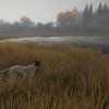 theHunter: Call of the Wild - German Shorthaired Pointer DLC PC Steam CD Key
