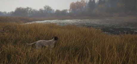 theHunter: Call of the Wild - German Shorthaired Pointer DLC PC Steam CD Key