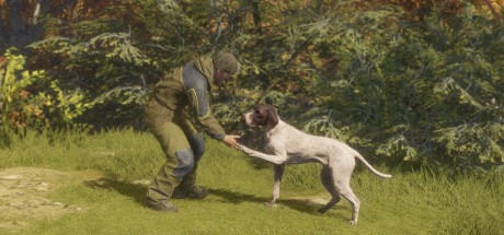 theHunter: Call of the Wild - German Shorthaired Pointer DLC PC Steam CD Key