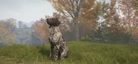 theHunter: Call of the Wild - German Shorthaired Pointer DLC PC Steam CD Key