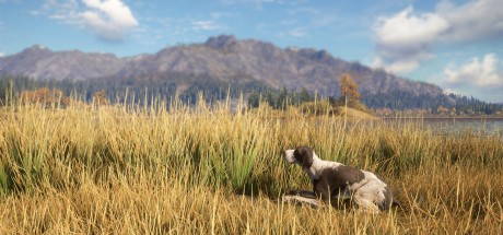 theHunter: Call of the Wild - German Shorthaired Pointer DLC PC Steam CD Key