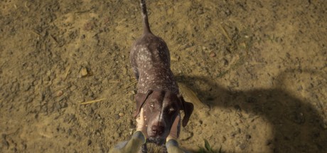 theHunter: Call of the Wild - German Shorthaired Pointer DLC PC Steam CD Key