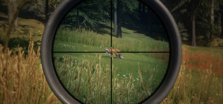 theHunter: Call of the Wild - Scopes and Crosshairs Pack DLC EU PC Steam CD Key