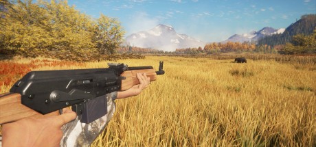 theHunter: Call of the Wild - Rapid Hunt Rifle Pack DLC EU PC Steam CD Key