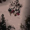Winter Burrow PC Steam CD Key