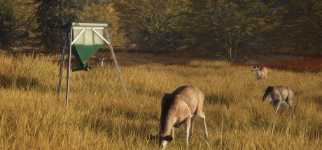theHunter: Call of the Wild - Game Feeder Pack DLC PC Steam CD Key