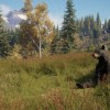 theHunter: Call of the Wild - Game Feeder Pack DLC PC Steam CD Key