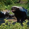 Planet Zoo: Asia Animal Pack DLC PC Steam CD Key Planet Zoo: Asia Animal Pack DLC PC Steam CD Key
