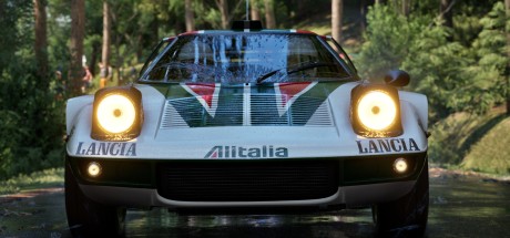 Assetto Corsa Rally PC Steam CD Key