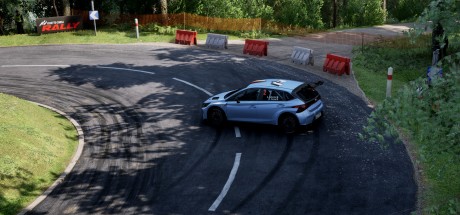 Assetto Corsa Rally PC Steam CD Key