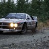 Assetto Corsa Rally EU PC Steam CD Key