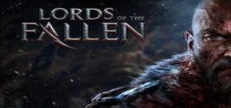 Lords of the Fallen Digital Deluxe Edition + 3 DLC's Steam CD Key