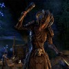 The Elder Scrolls Online: Tamriel Unlimited Steam CD Key