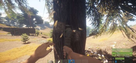 RUST PC Steam CD Key