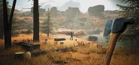 Cowboy Life Simulator EU PC Steam CD Key