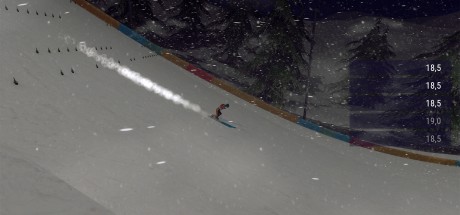 Ski Jumping World Cup PC Steam CD Key