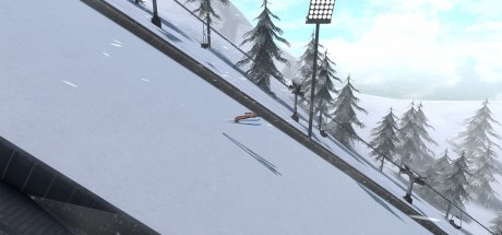 Ski Jumping World Cup PC Steam CD Key