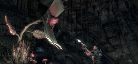 Fallout: New Vegas - All DLC Pack PC Steam CD Key