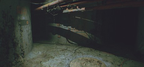 Routine PC Steam CD Key