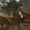 theHunter: Call of the Wild - Sundarpatan Nepal Hunting Reserve DLC EU PC Steam CD Key theHunter: Call of the Wild - Sundarpatan Nepal Hunting Reserve DLC EU PC Steam CD Key