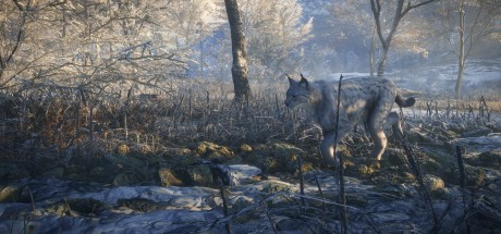 theHunter: Call of the Wild - Medved-Taiga DLC PC Steam CD Key