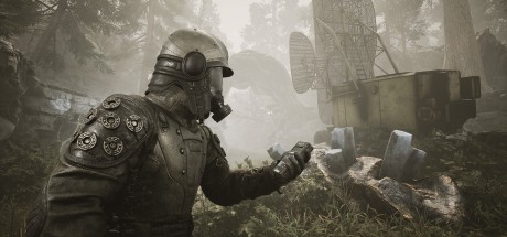 PIONER PC Steam CD Key