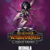 Total War: WARHAMMER III - Dechala – Tides of Torment DLC PC Steam CD Key