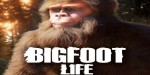Bigfoot Life PC Steam CD Key