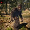 Bigfoot Life PC Steam CD Key