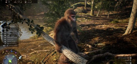 Bigfoot Life PC Steam CD Key