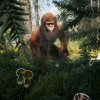 Bigfoot Life PC Steam CD Key