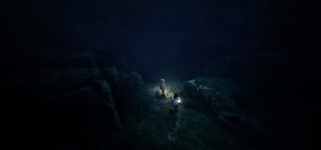 REANIMAL CN-LATAM PC Steam CD Key