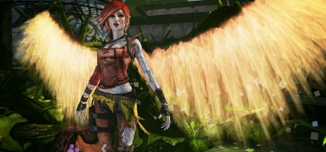 Borderlands 2: Commander Lilith & the Fight for Sanctuary DLC RoW PC Steam CD Key