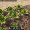 Ancient Farm PC Steam CD Key