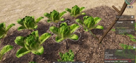 Ancient Farm PC Steam CD Key